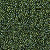 MIYUKI Round Rocailles Beads X-SEED-G007-RR0350-4