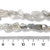 Natural Eagle Eye Stone Beads Strands G-P497-01C-14-5