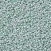 11/0 FGB Grade A Round Glass Seed Beads SEED-N001-B-0487-2