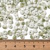 Baking Paint Glass Seed Beads SEED-F006-01A-05-4