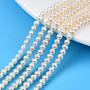 Grade AAA Natural Cultured Freshwater Pearl Beads Strands PEAR-N013-03C-1