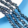 Natural Cultured Freshwater Pearl Beads Strands PEAR-I004-01C-1