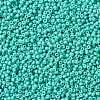 MIYUKI Round Rocailles Beads SEED-X0055-RR4475-3