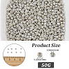 50G Glass Seed Beads SEED-PA0001-36B-01-2