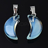Spray Painted Glass Pendants GLAA-N035-021-A02-3