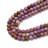 Natural Lepidolite Beads Strands G-G189-B06-02-4