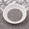 MIYUKI Delica Beads Small SEED-X0054-DBS0338-2