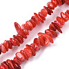 Natural Freshwater Shell Beads Strands X-SHEL-S278-071A-1