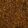 TOHO 6/0 Round Beads SEED-TR06-2155-3