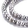 Natural Cultured Freshwater Pearl Beads Strands PEAR-N013-04D-4