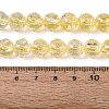 Crackle Transparent Glass Beads Strands GLAA-N063-10mm-09-2