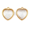 Valentine's Day 304 Stainless Steel with Glass Charms STAS-Q119-01G-A02-1