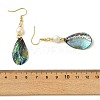 Natural Abalone Shell/Paua Shell Dangle Earrings EJEW-JE07434-01-5