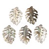 Natural Black Lip Shell Pendants SHEL-R100-07A-1