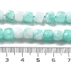 Natural Quartz Imitation Amazonite Beads Strands G-C179-B21-01-5