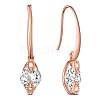 SHEGRACE 925 Sterling Silver Earring JE702A-1