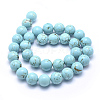 Natural Magnesite Beads Strands TURQ-G148-07-12mm-2