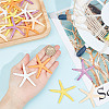 GOMAKERER 20Pcs 5 Colors PVC Starfish Display Decorations DJEW-GO0001-04-3