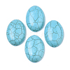Synthetic Turquoise Cabochons TURQ-S291-01F-01-2