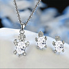 Tortoise Alloy Rhinestone & Glass Pendant Necklaces & Stud Earrings Sets FS-WG4B54D-01-1