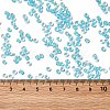 12/0 Transparent Glass Seed Beads X-SEED-F003-03C-10-4