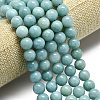 Natural Malaysia Jade Beads Strands G-L645-A01-10mm-25-4