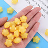 Imitation Jelly Acrylic Beads MACR-S373-87-E07-6