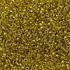 MIYUKI Round Rocailles Beads LS-X-SEED-G009-RR3524-2