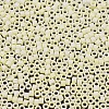 MIYUKI Delica Beads SEED-MY11-DB1521-3