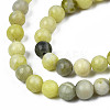 Natural Yellow Mustard Jasper Beads Strands G-Q462-6mm-39-4