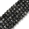 Natural Larvikite Beads Strands G-C280-B06-6mm-2