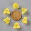 Frosted Acrylic Bead Caps MACR-S371-10A-717-4