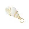 Natural Trumpet Shell Pendants PALLOY-JF02794-01-5
