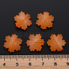 Imitation Jelly Acrylic Beads LS-MACR-S373-92-E05-5
