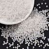 Cylinder Seed Beads X-SEED-H001-F06-1