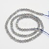Natural Labradorite Round Bead Strands LS-G-M263-A-03-2