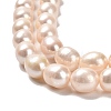 Natural Cultured Freshwater Pearl Beads Strands PEAR-E016-122-3