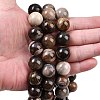 Natural Petrified Wood Beads Strands G-L648-A03-16mm-02-2