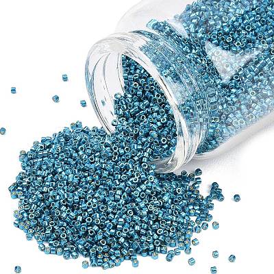 MIYUKI Delica Beads X-SEED-J020-DB2513-1