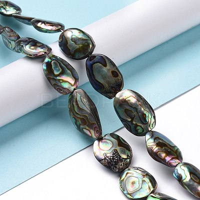 Natural Abalone Shell/Paua Shell Beads SSHEL-E379-1-1