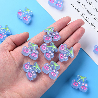 Transparent Acrylic Beads LS-X-MACR-S374-04B-04-1
