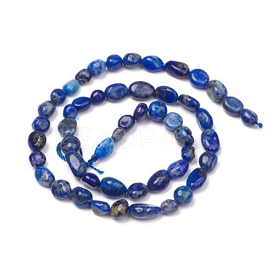 Natural Lapis Lazuli Beads Strands X-G-L493-40-1
