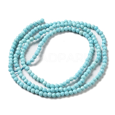 Natural Howlite Beads Strands G-C025-03A-01-1
