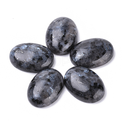 Natural Larvikite Cabochons G-T062-19-1