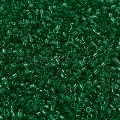 MIYUKI Delica Beads Small X-SEED-J020-DBS0705-1