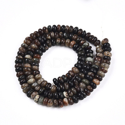 Natural Biotite Beads Strands G-T140-69B-1