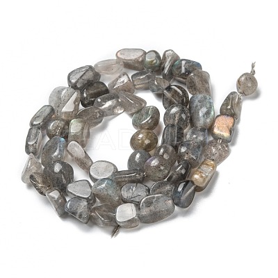 Natural Labradorite Beads Strands G-G018-24-1