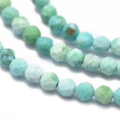 Natural HuBei Turquoise Beads Strands G-G792-38-1