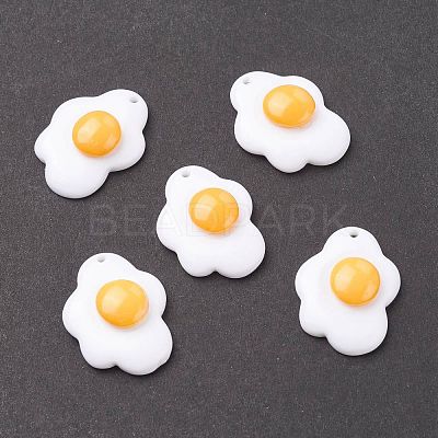 Resin Pendants RESI-F030-21-1