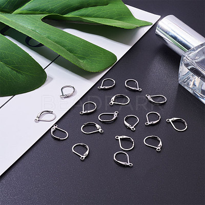 304 Stainless Steel Leverback Earring Findings X-STAS-L190-14S-1